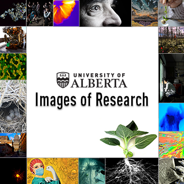 images of research logo